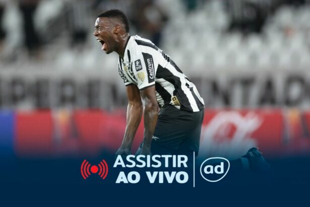 Bragantino x Botafogo na arte onde assistir ao jogo Bragantino x Botafogo pelo Brasileirão