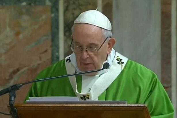 Papa Francisco, com vestimentas branca e verde, em trecho de discurso