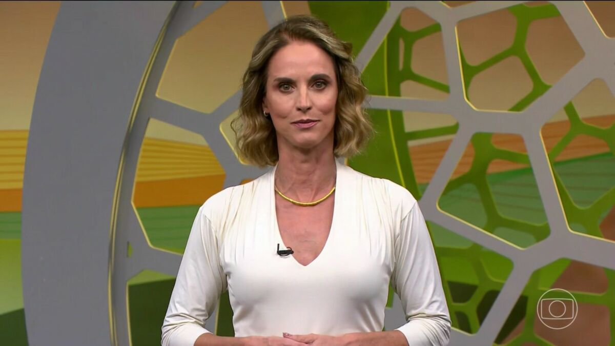 Globo Rural mostra fazenda modelo de soja e produção de pinhão no Sul