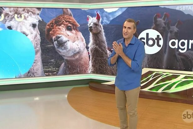 Sandro Ivanowski veste blusa azul e calça clara com as mãos unidas no centro do cenário do palco do SBT Agro