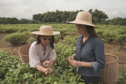 Liliana Junger, na Rota do Chá, em trecho do Globo Repórter