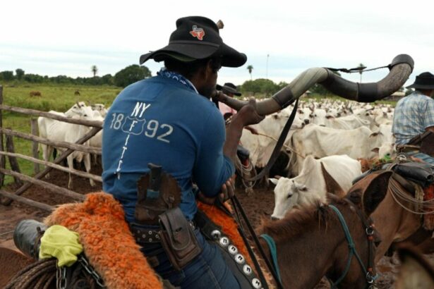 Trecho do Profissão Repórter com as comitivas pantaneiras