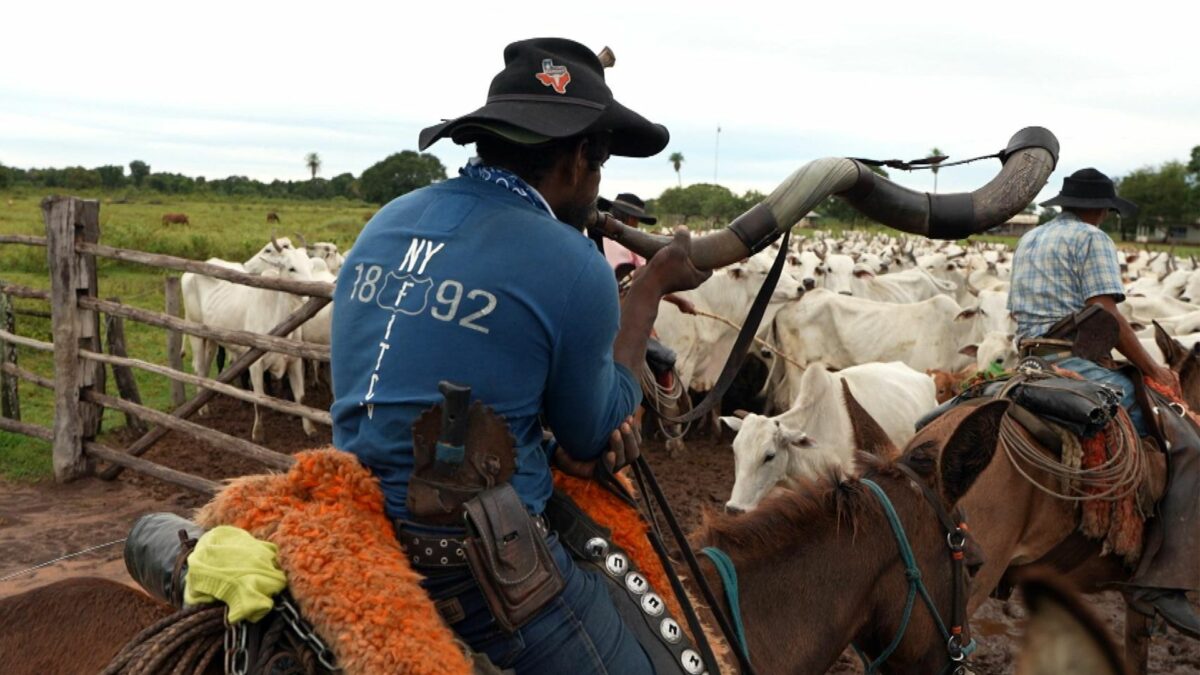 Trecho do Profissão Repórter com as comitivas pantaneiras