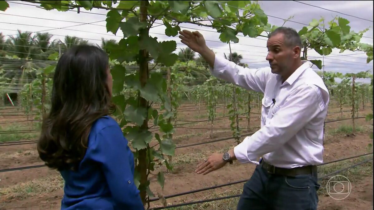Repórter do Globo Rural olha para um homem que está explicando como cultivar uva em um campo
