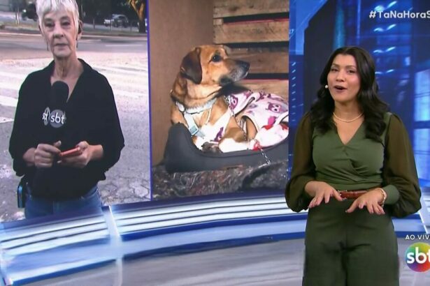Fátima Souza, com semblante sério, no telão do Tá na Hora, dividindo tela com um cachorro. Dani Brandi está em pé sorrindo no cenário do SBT