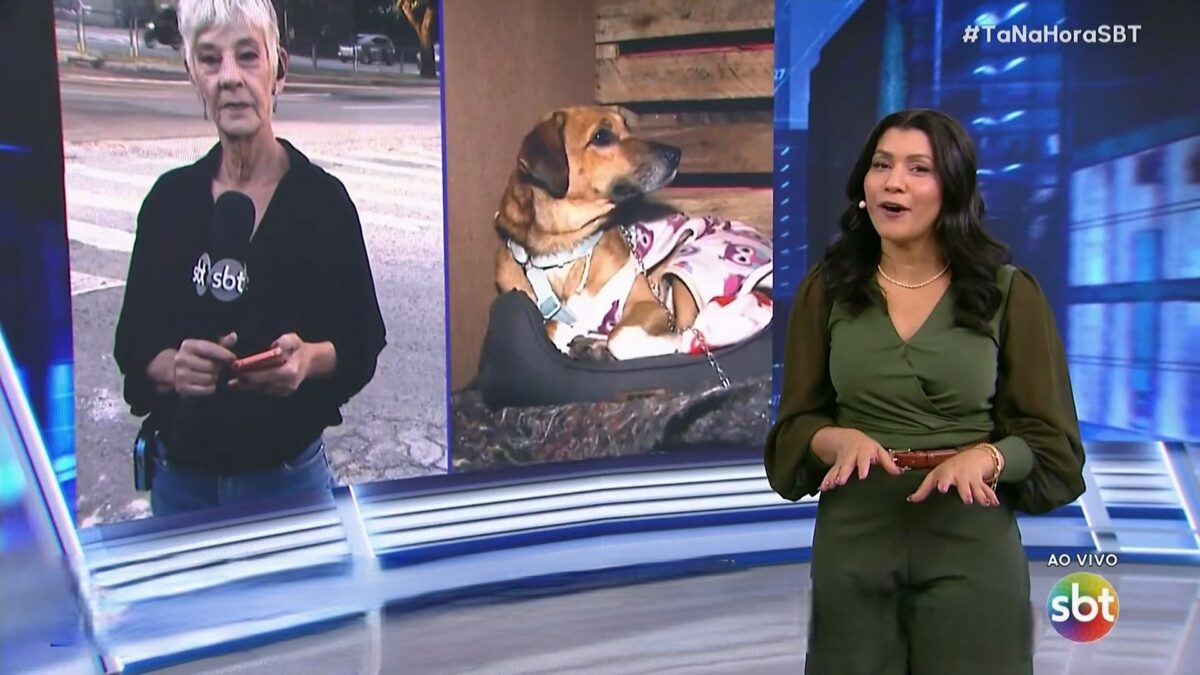 Fátima Souza, com semblante sério, no telão do Tá na Hora, dividindo tela com um cachorro. Dani Brandi está em pé sorrindo no cenário do SBT
