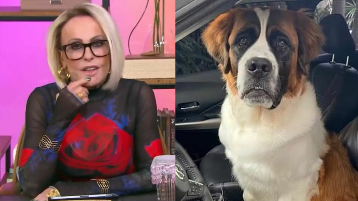 Ana Maria Braga e cachorro Capuccino em uma montagem