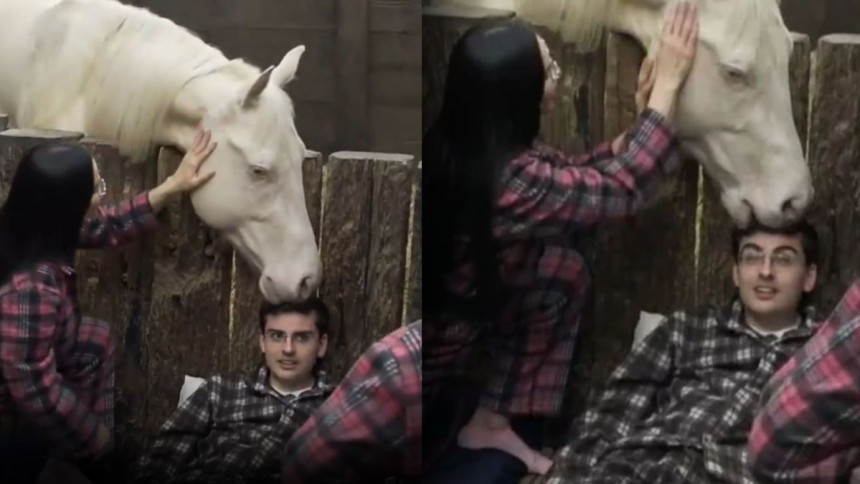 Montagem com duas fotos do apresentador Dudu Camargo, deitado, e um cavalo branco o mordendo na cabeça dentro da baia do reality show A Fazenda.