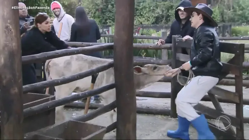 Dudu Camargo puxando o bezerro com uma corda no pescoço em A Fazenda 17